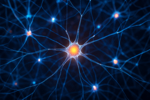 Rede neural digital com conexões iluminadas representando inteligência artificial.